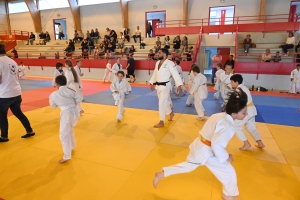 Monistrol-sur-Loire : un champion olympique de judo comme professeur