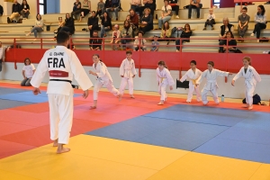 Monistrol-sur-Loire : un champion olympique de judo comme professeur