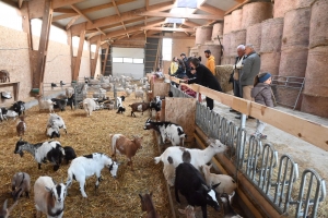 Saint-Pierre-Eynac : un an après l&#039;incendie, Mohair des Chibottes s&#039;est reconstruit