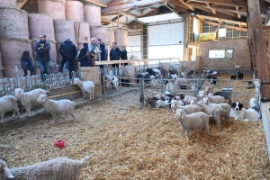 Saint-Pierre-Eynac : un an après l&#039;incendie, Mohair des Chibottes s&#039;est reconstruit