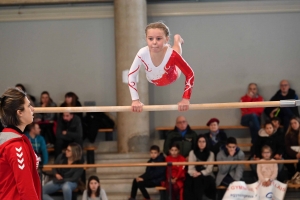 Yssingeaux : 230 gymnastes et 5 clubs de Haute-Loire en compétition ce week-end