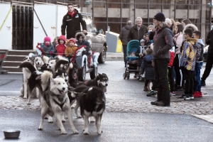 Marché de Noël et Téléthon : deux bonnes raisons d&#039;aller à Sainte-Sigolène ce week-end