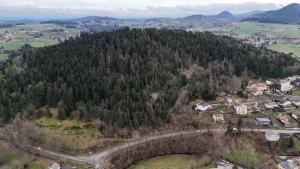 Yssingeaux : une coupe sanitaire va être réalisée sur le bois de Montbarnier