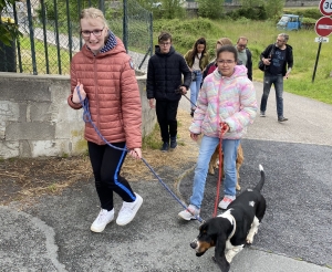 Crédit Autour Du Chien 43