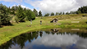 Un concours de pêche truite aux leurres aux étangs Bergougnoux à Saugues le 19 juin