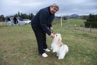 Les maîtres et leurs chiens de Haute-Loire brillent au premier concours d&#039;agility