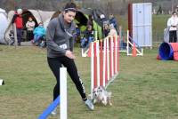 Les maîtres et leurs chiens de Haute-Loire brillent au premier concours d&#039;agility