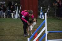 Les maîtres et leurs chiens de Haute-Loire brillent au premier concours d&#039;agility