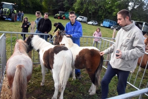 Saint-Julien-du-Pinet : des hommes, des bêtes et des machines pour la foire agricole