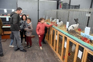 Saint-Julien-du-Pinet : des hommes, des bêtes et des machines pour la foire agricole