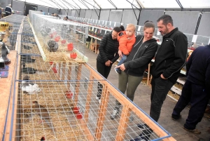 Saint-Julien-du-Pinet : des hommes, des bêtes et des machines pour la foire agricole