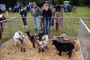 Saint-Julien-du-Pinet : des hommes, des bêtes et des machines pour la foire agricole