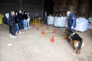 Yssingeaux : il pratique la zoothérapie depuis trois ans et la fait découvrir aux élèves