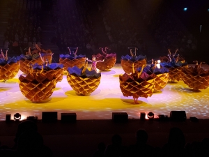 Monistrol-sur-Loire : tous les écoliers du &quot;Château&quot; émerveillés par le spectacle de Val Grangent