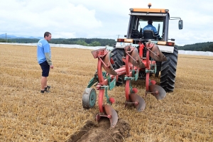 Chomelix : toutes les photos du concours départemental de labour