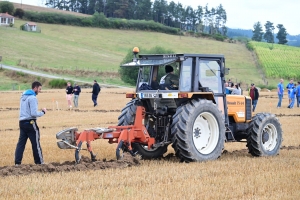 Chomelix : toutes les photos du concours départemental de labour