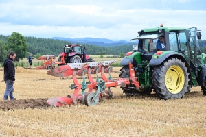 Chomelix : toutes les photos du concours départemental de labour