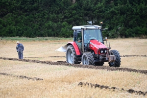 Chomelix : toutes les photos du concours départemental de labour