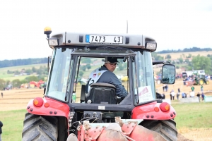 Chomelix : toutes les photos du concours départemental de labour