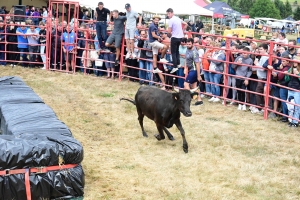 Chomelix : toutes les photos du concours départemental de labour