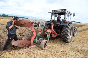 Chomelix : toutes les photos du concours départemental de labour