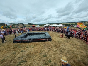 Chomelix : toutes les photos du concours départemental de labour