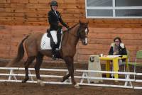 Equitation : 25 cavaliers au concours de dressage à Yssingeaux