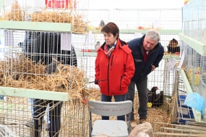 Retournac : la Foire des pâquerettes pousse dans le bourg ce dimanche