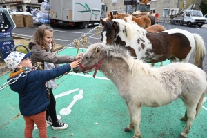 Retournac : la Foire des pâquerettes pousse dans le bourg ce dimanche