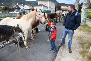 Retournac : la Foire des pâquerettes pousse dans le bourg ce dimanche