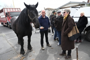 Retournac : la Foire des pâquerettes pousse dans le bourg ce dimanche