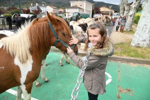 Retournac : la Foire des pâquerettes pousse dans le bourg ce dimanche