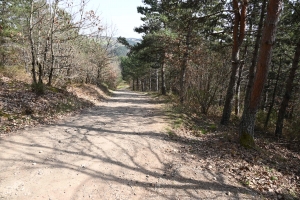 La passerelle himalayenne des gorges du Lignon devrait ouvrir pour les vacances de Pâques