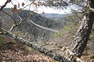 La passerelle himalayenne des gorges du Lignon devrait ouvrir pour les vacances de Pâques