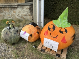 Lapte : une courge de 82 kg décorée et exposée à &quot;La Chambertière&quot;