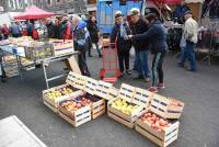 Fay-sur-Lignon : folklore et authenticité sur la foire aux chevaux