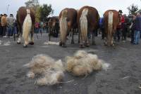 Fay-sur-Lignon : folklore et authenticité sur la foire aux chevaux