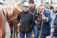 Fay-sur-Lignon : folklore et authenticité sur la foire aux chevaux