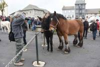 Fay-sur-Lignon : folklore et authenticité sur la foire aux chevaux