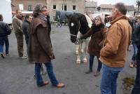 Fay-sur-Lignon : folklore et authenticité sur la foire aux chevaux