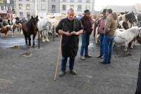 Fay-sur-Lignon : folklore et authenticité sur la foire aux chevaux