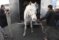 Fay-sur-Lignon : folklore et authenticité sur la foire aux chevaux