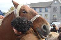 Fay-sur-Lignon : folklore et authenticité sur la foire aux chevaux