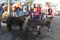 Fay-sur-Lignon : folklore et authenticité sur la foire aux chevaux