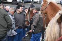 Fay-sur-Lignon : folklore et authenticité sur la foire aux chevaux