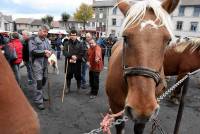 Fay-sur-Lignon : folklore et authenticité sur la foire aux chevaux