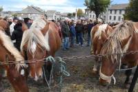 Fay-sur-Lignon : folklore et authenticité sur la foire aux chevaux