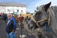 Fay-sur-Lignon : folklore et authenticité sur la foire aux chevaux