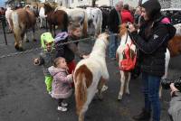 Fay-sur-Lignon : folklore et authenticité sur la foire aux chevaux