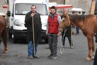 Fay-sur-Lignon : folklore et authenticité sur la foire aux chevaux